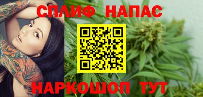 мяу мяу мука Аргун