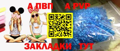 мяу мяу мука Аргун