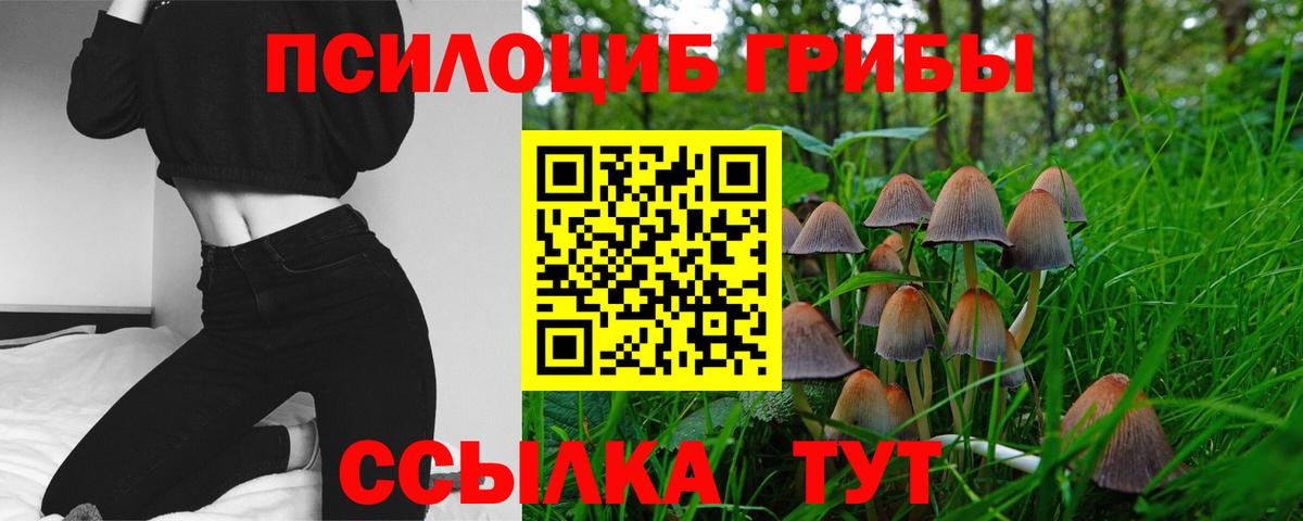 Галлюциногенные грибы прущие грибы Апрелевка