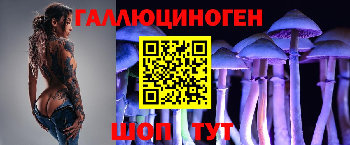 Апрелевка  Галлюциногенные грибы Cubensis  купить наркотик  Вход с VPN 